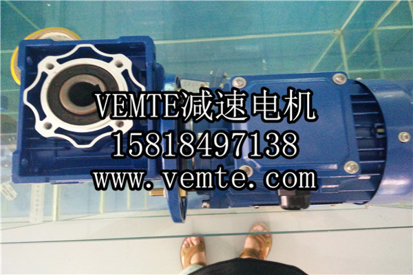 蝸輪減速機，渦輪減速機,RV減速電機 (2)